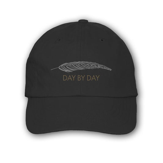 Baseball hat-black-front "Day by Day" with feather-back "Timothy B. Schmit"